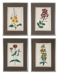 Uttermost Floral Varieties Framed Art - Set of 4